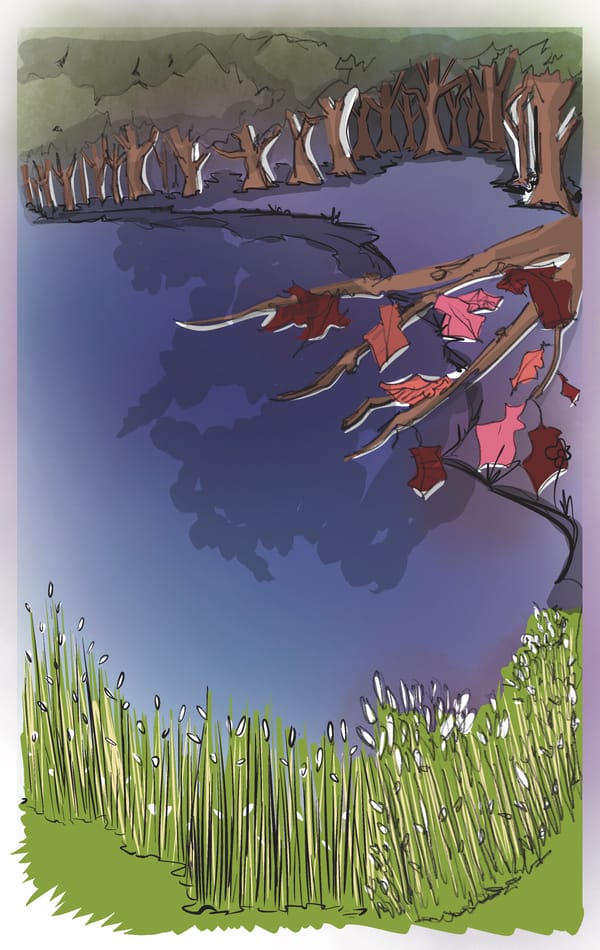 A Lake